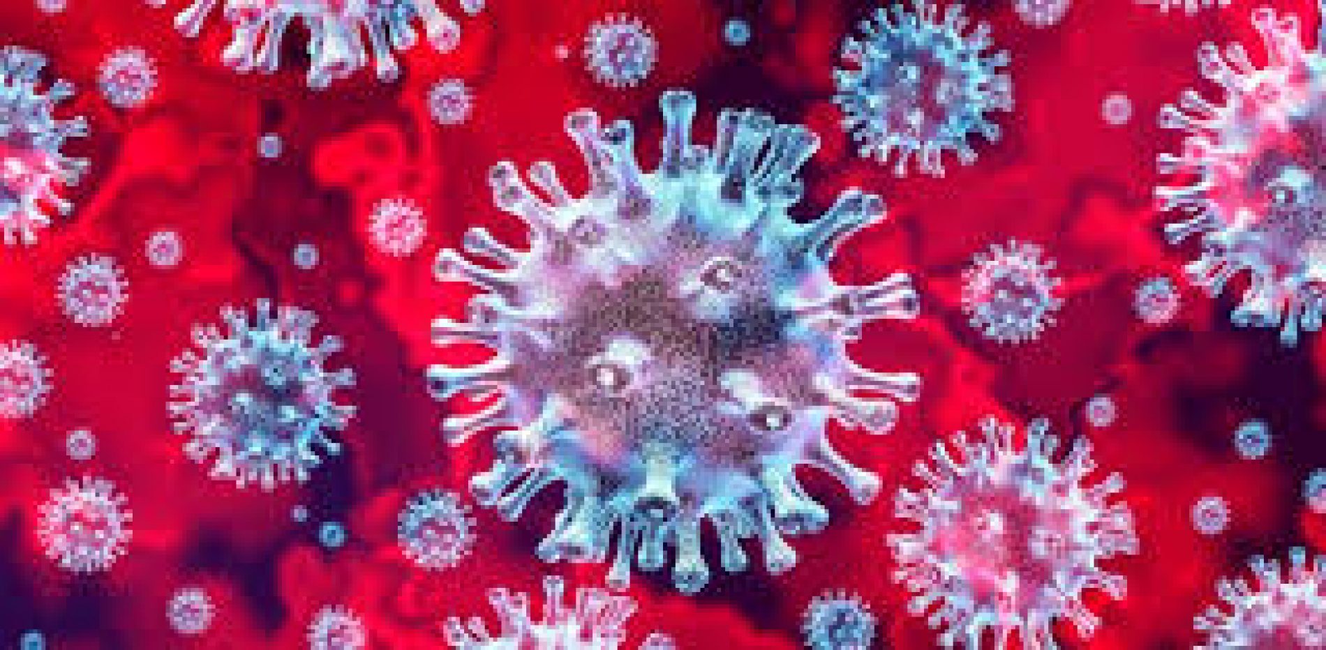Olsztyn: 13 placówek edukacyjnych dotkniętych zakażeniami koronawirusem