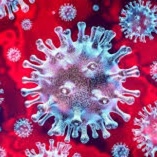 17 zakażeń koronawirusem w regionie